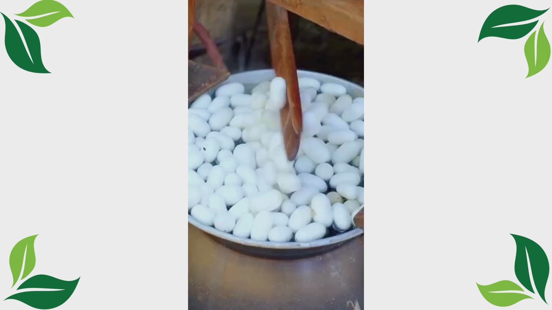 Carica il video: 